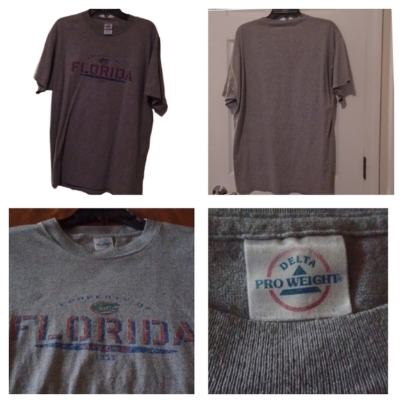 🌺Delta Pro Weight Gray T-Shirt - Picture 1 of 9